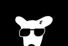 هر چیزی که درمورد ایردراپ داگز باید بدانید؛ به زبان ساده و مختصر ایردراپ داگز