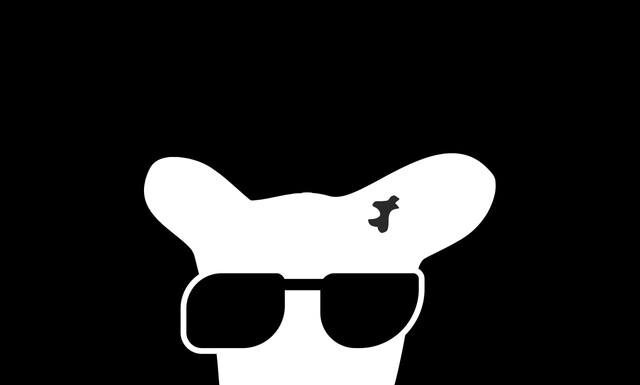 هر چیزی که درمورد ایردراپ داگز باید بدانید؛ به زبان ساده و مختصر ایردراپ داگز